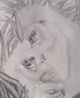 Animals - My Daddys Bigger Than Your Daddy - Graphite Pencils